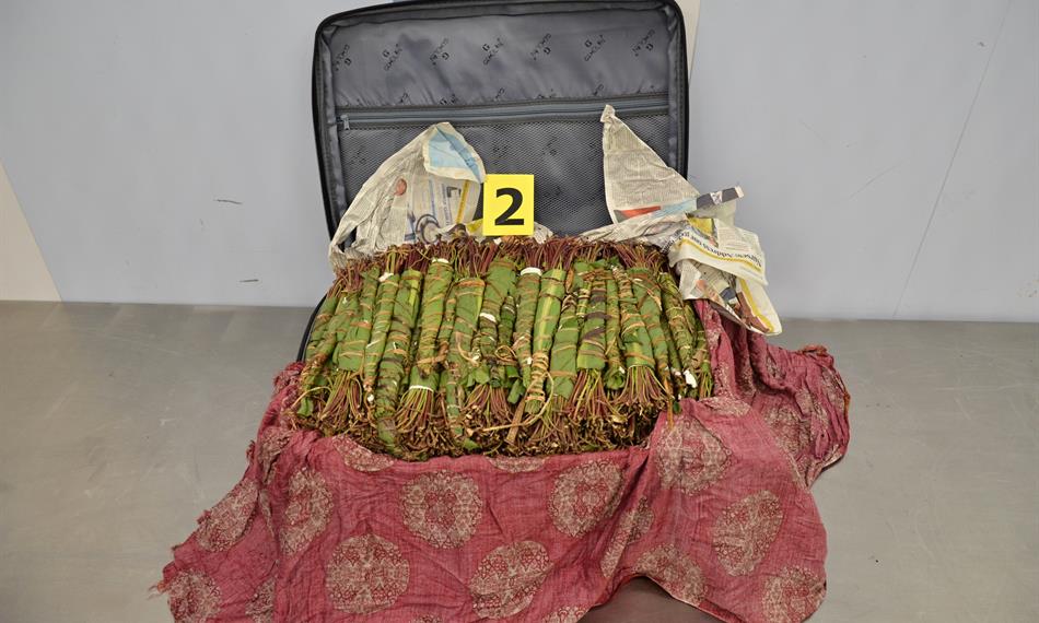 2017-9-27-1340foto 6.jpg